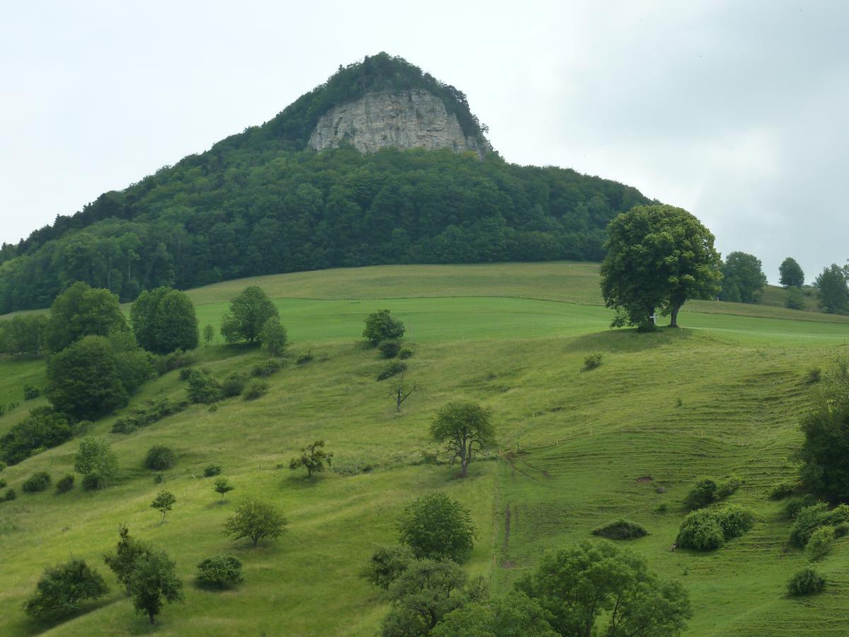 Готель Gasthof Loewen Wisen Екстер'єр фото